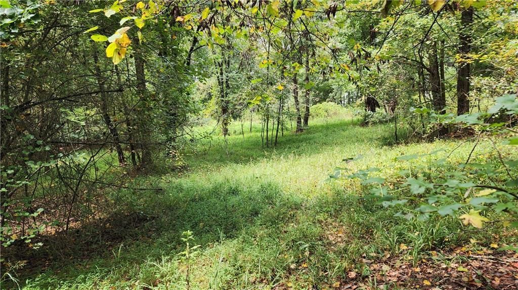 MLS #7266969 image #20