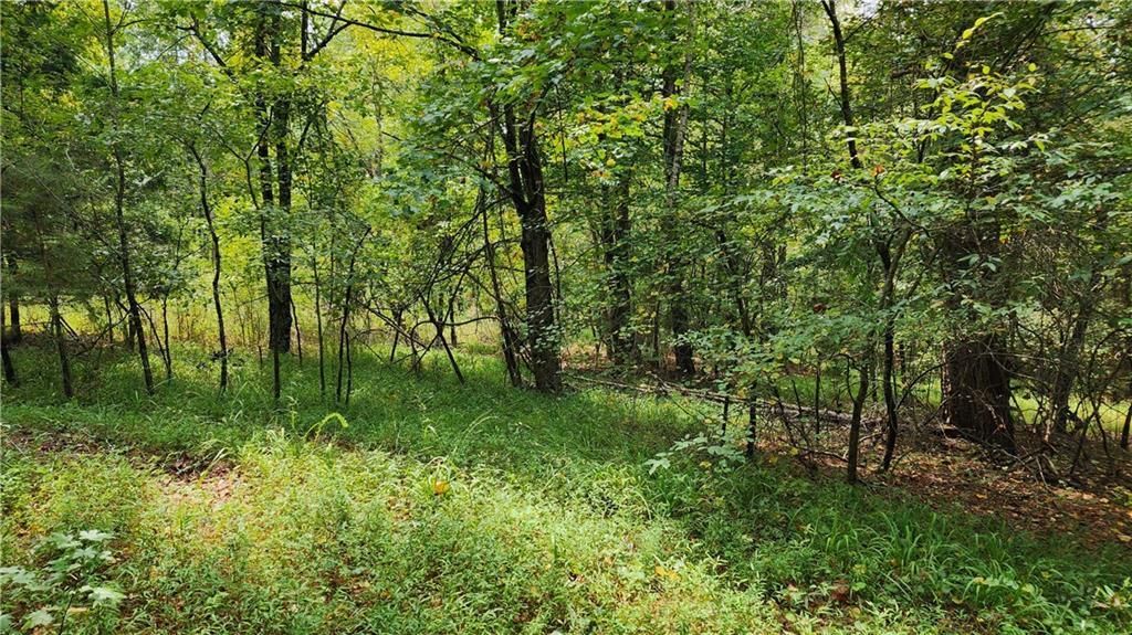 MLS #7266969 image #21