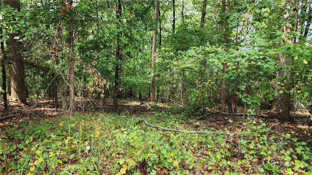 MLS #7266969 image #22