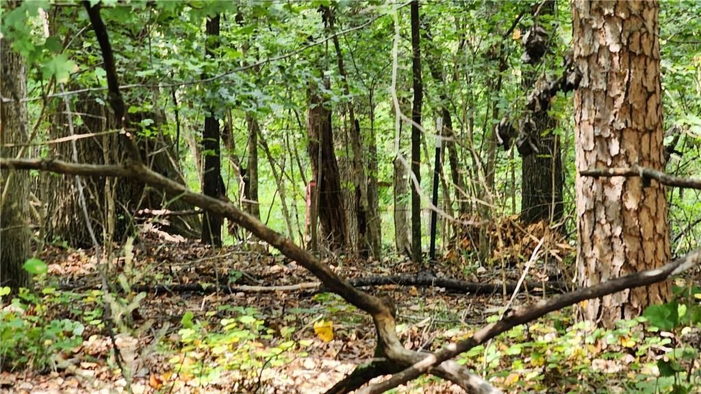 MLS #7266969 image #23