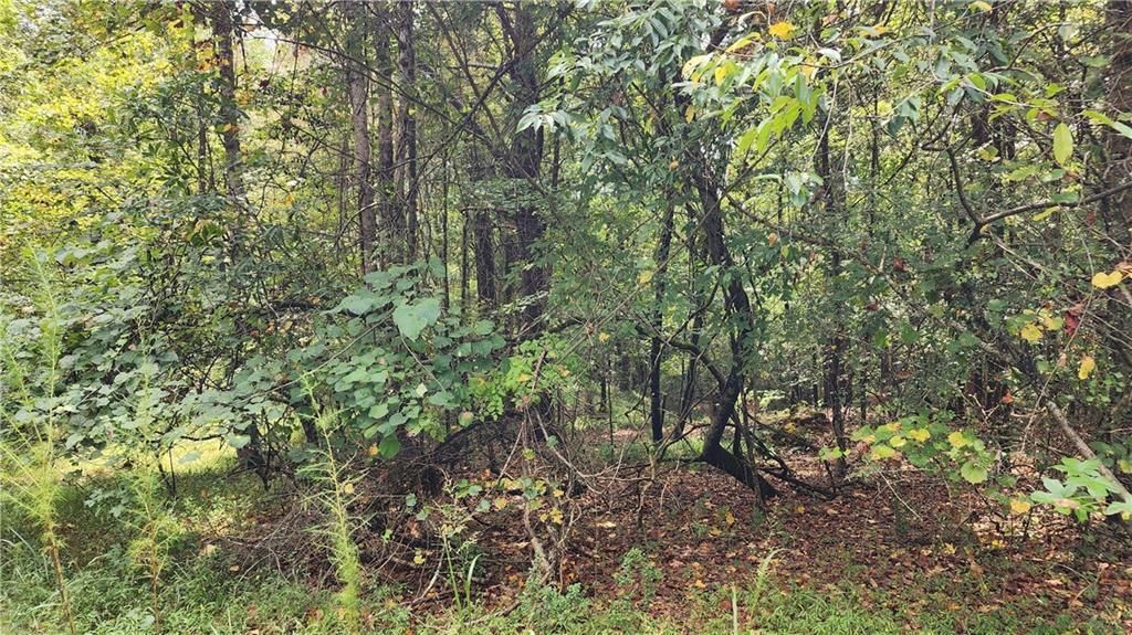 MLS #7266969 image #24