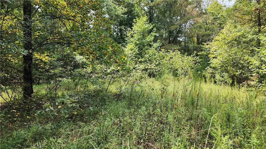 MLS #7266969 image #25