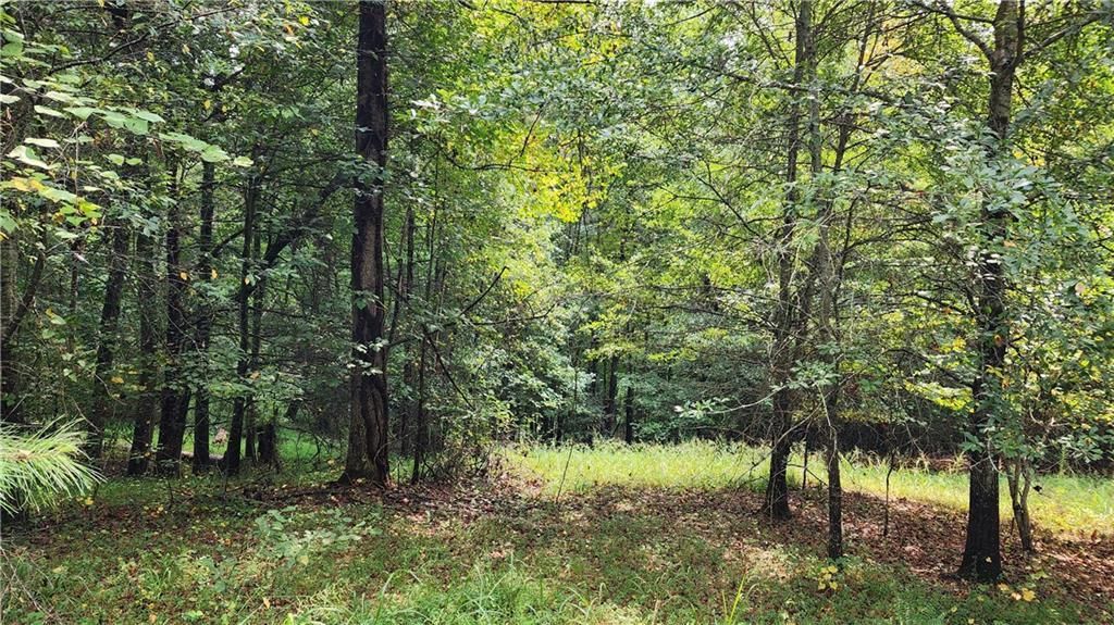 MLS #7266969 image #26