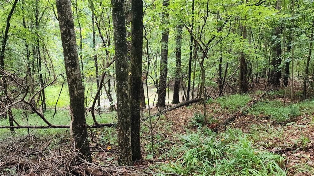 MLS #7266969 image #27