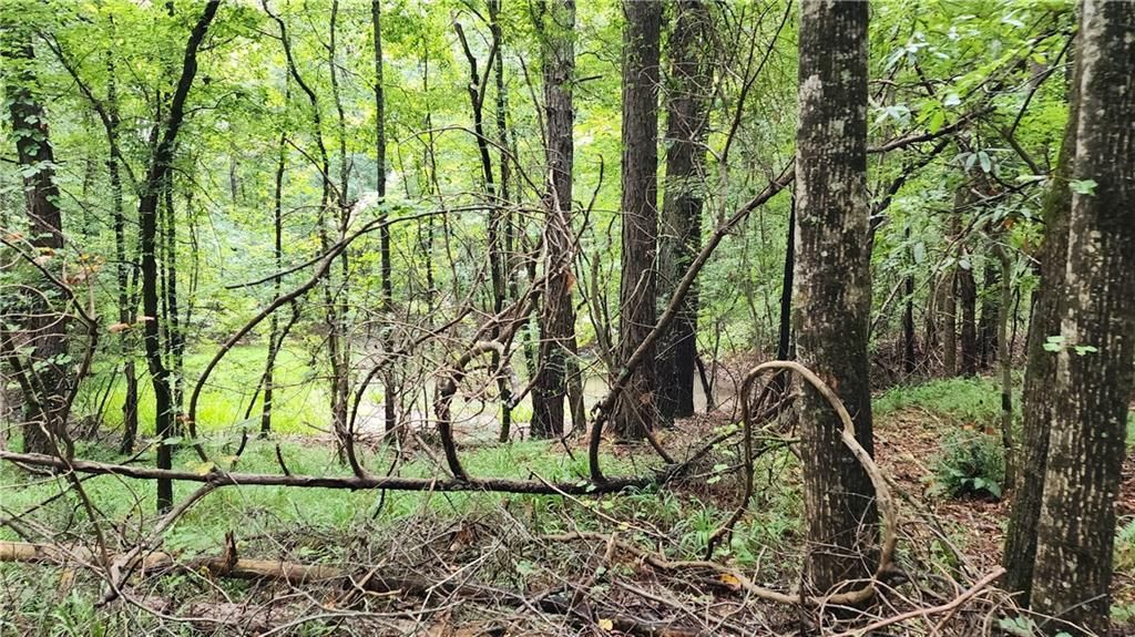 MLS #7266969 image #28