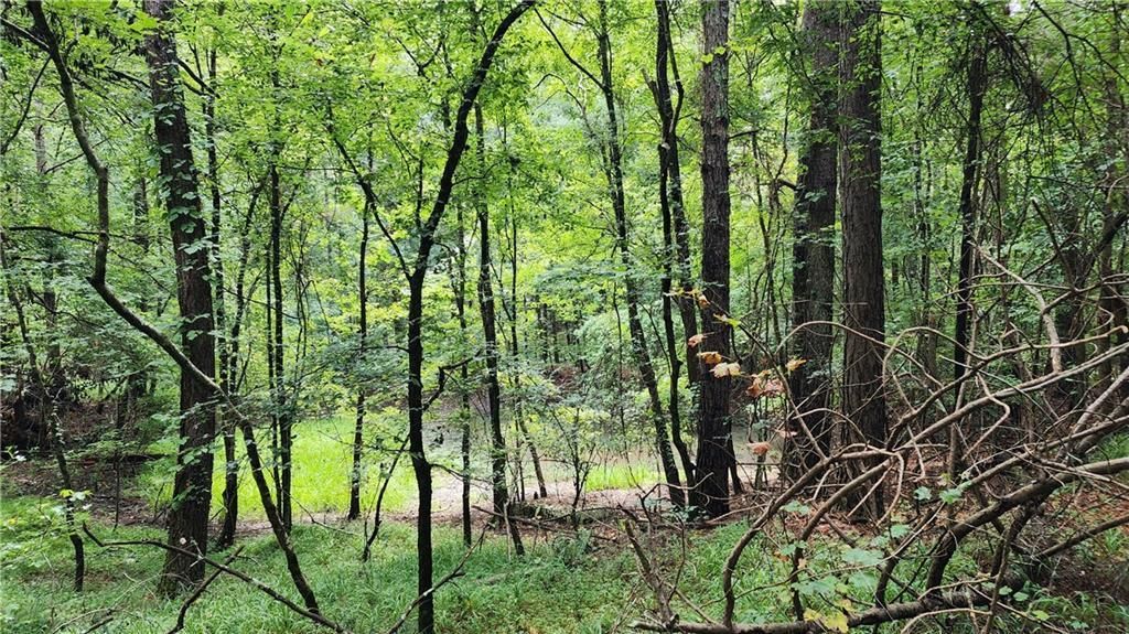 MLS #7266969 image #29