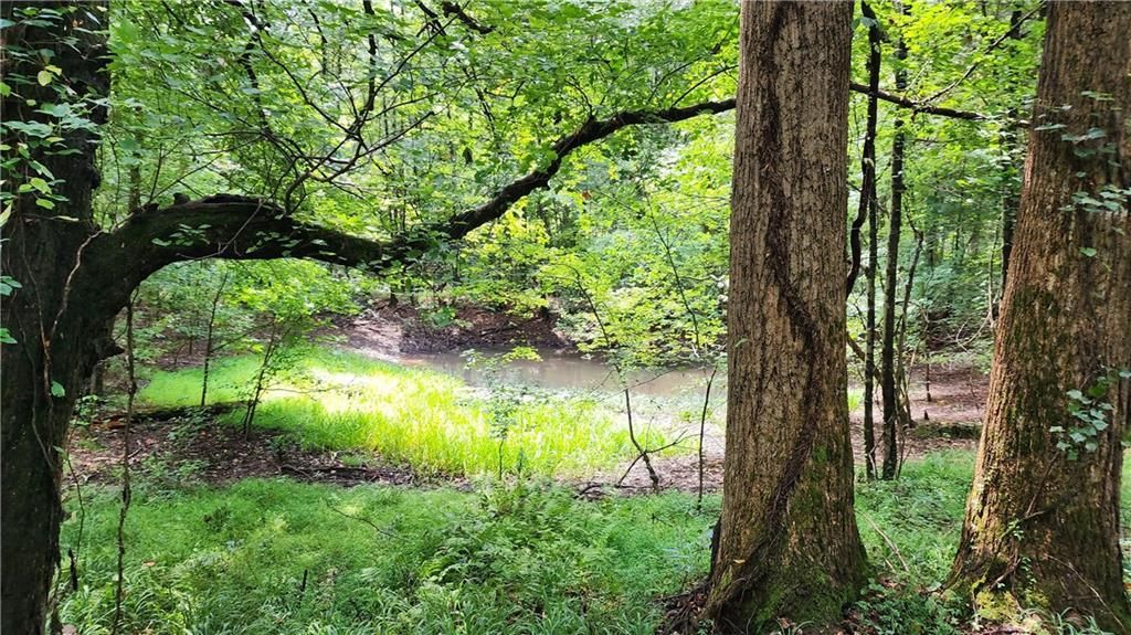 MLS #7266969 image #30