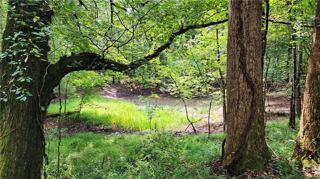 MLS #7266969 image #31