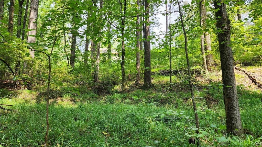 MLS #7266969 image #32