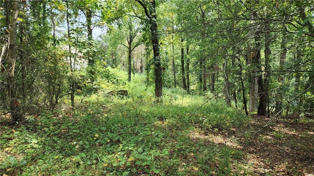 MLS #7266969 image #33