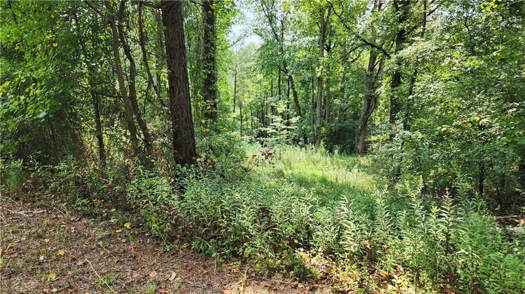 MLS #7266969 image #34