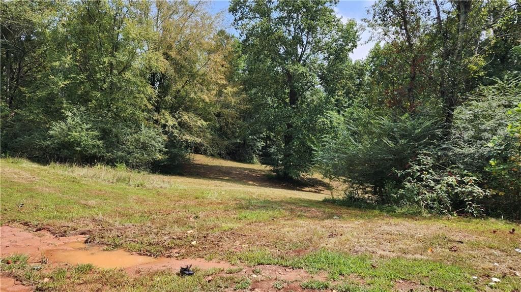 MLS #7266969 image #37