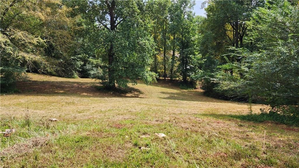 MLS #7266969 image #39