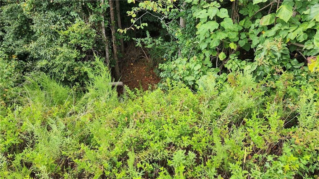 MLS #7266969 image #53