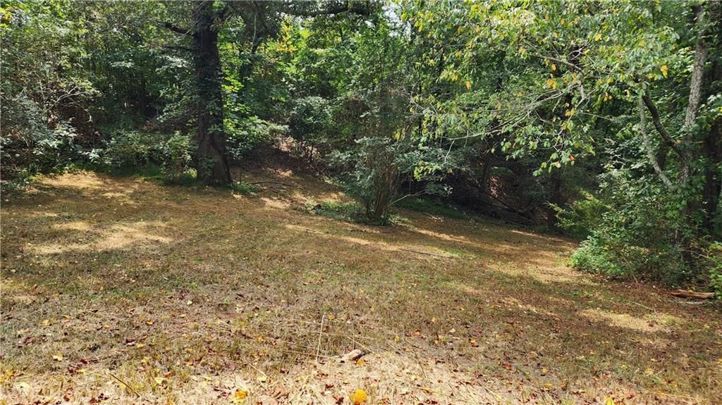 MLS #7266969 image #54