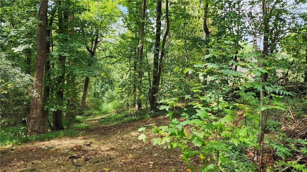 MLS #7266969 image #56