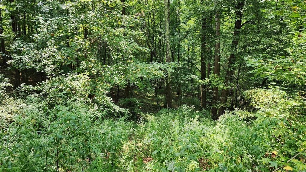 MLS #7266969 image #58