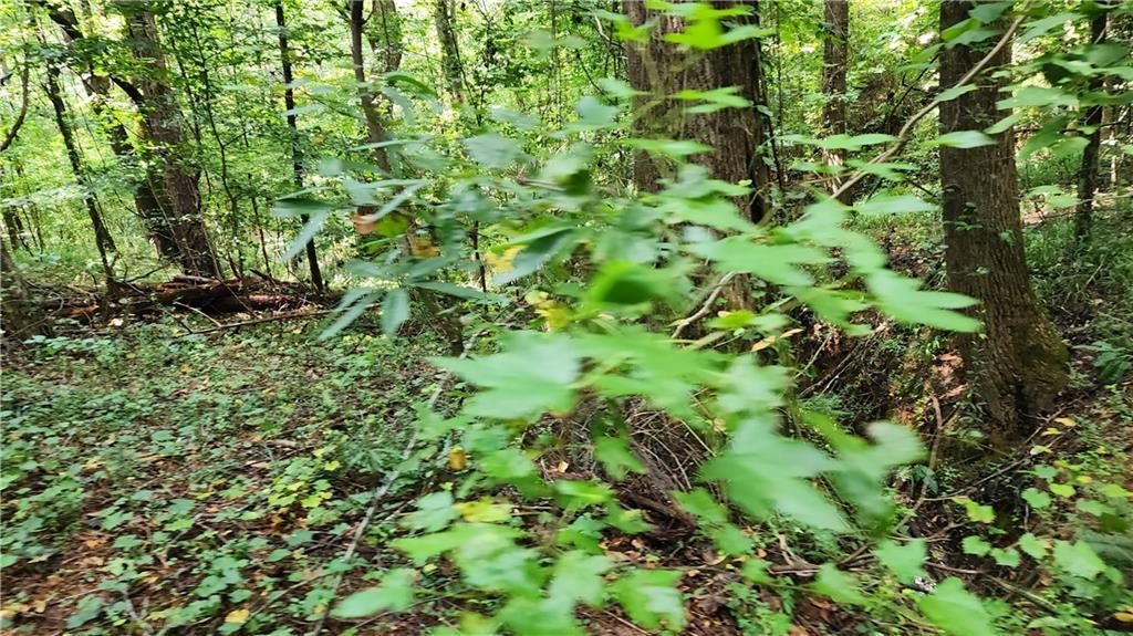 MLS #7266969 image #59