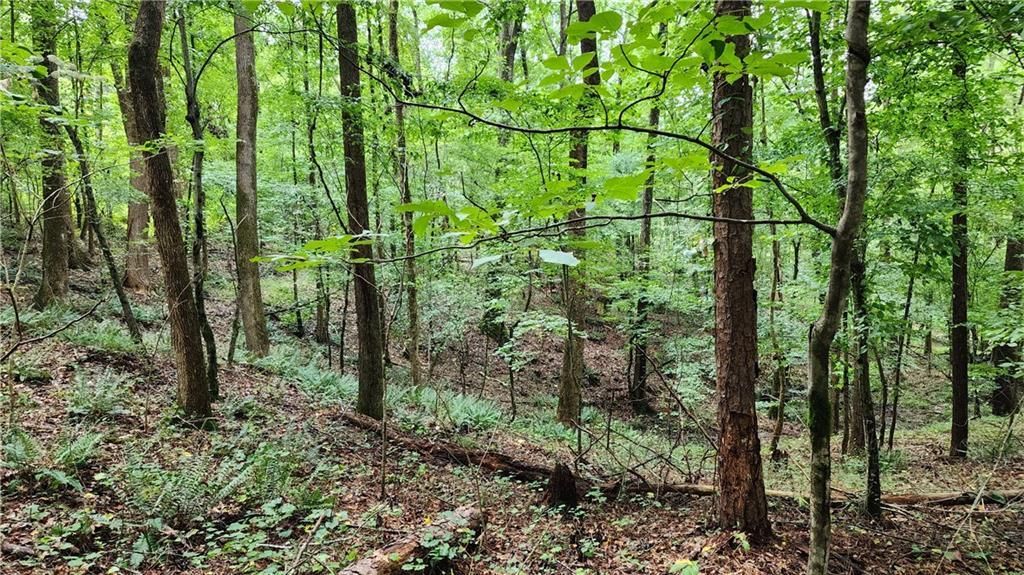 MLS #7266969 image #60