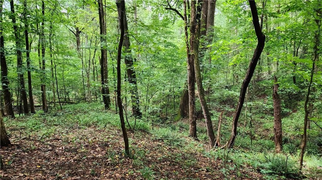 MLS #7266969 image #61