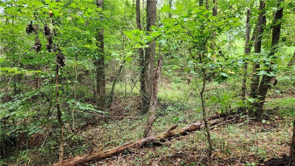 MLS #7266969 image #62