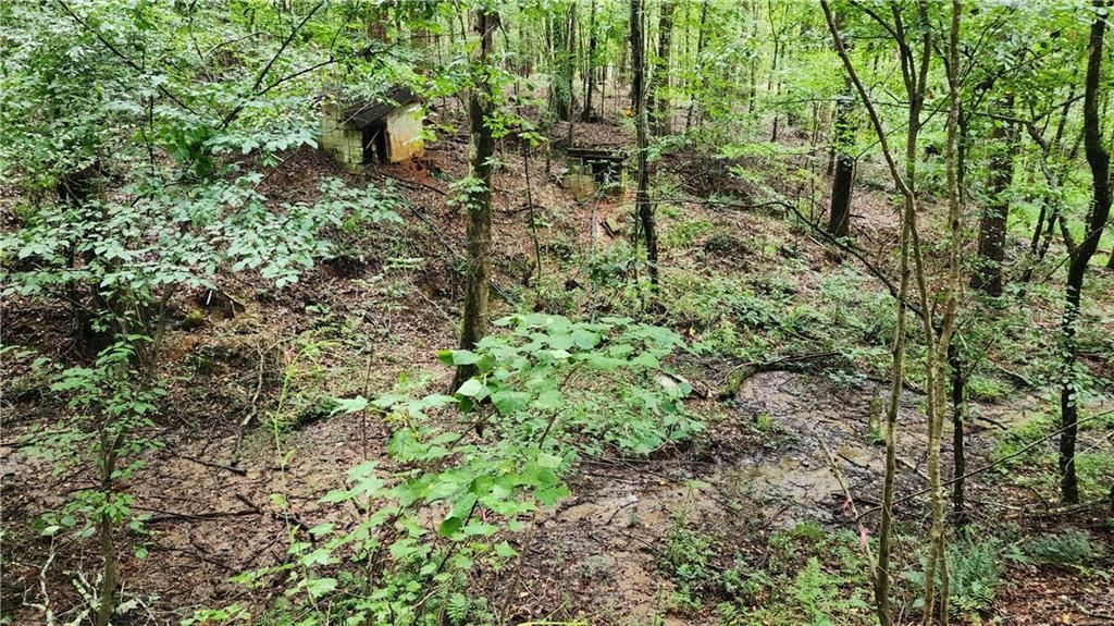 MLS #7266969 image #63