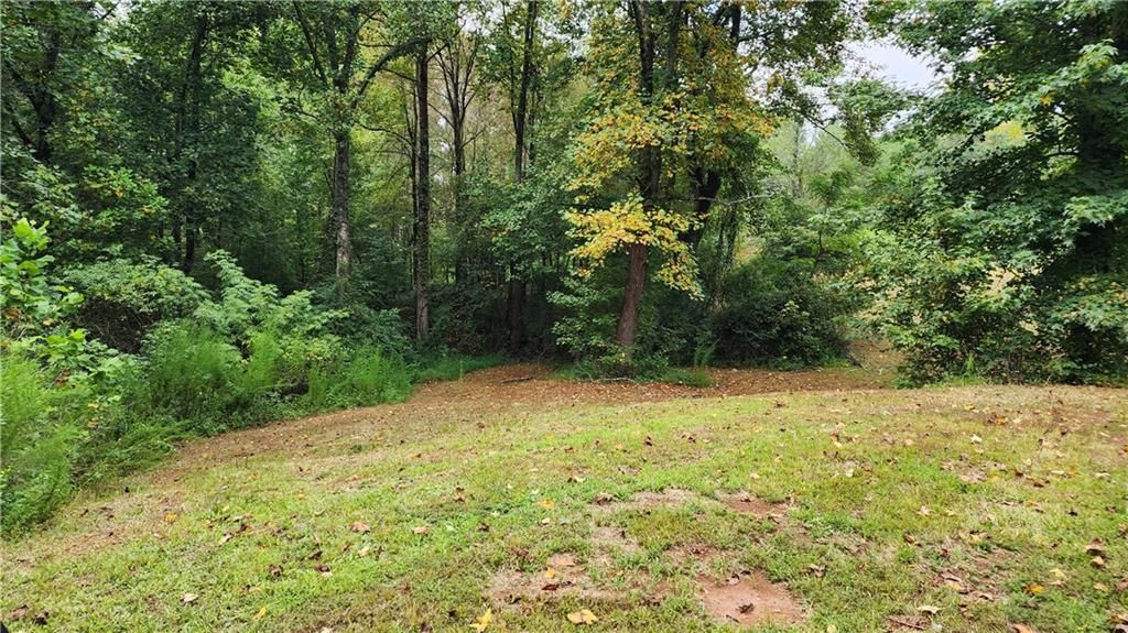 MLS #7266969 image #64