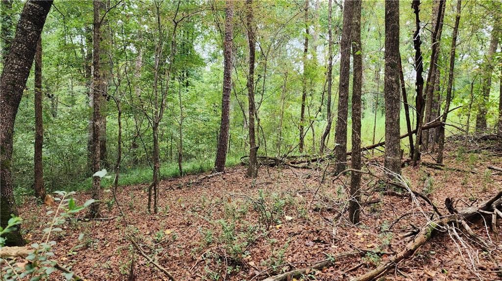 MLS #7266969 image #65