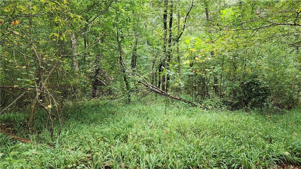 MLS #7266969 image #66