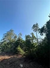 MLS #7269787 image #1