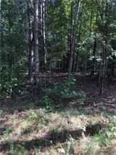 MLS #7272212 image #10