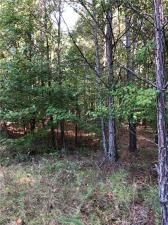 MLS #7272212 image #11