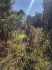 MLS #7272212 image #12