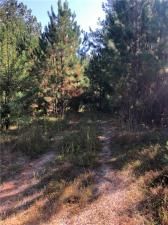 MLS #7272212 image #14