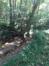 MLS #7272212 image #15