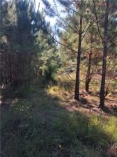 MLS #7272212 image #16