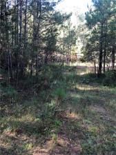 MLS #7272212 image #17