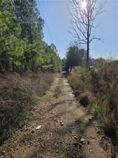 MLS #7272212 image #5