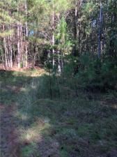 MLS #7272212 image #8