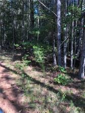 MLS #7272212 image #9