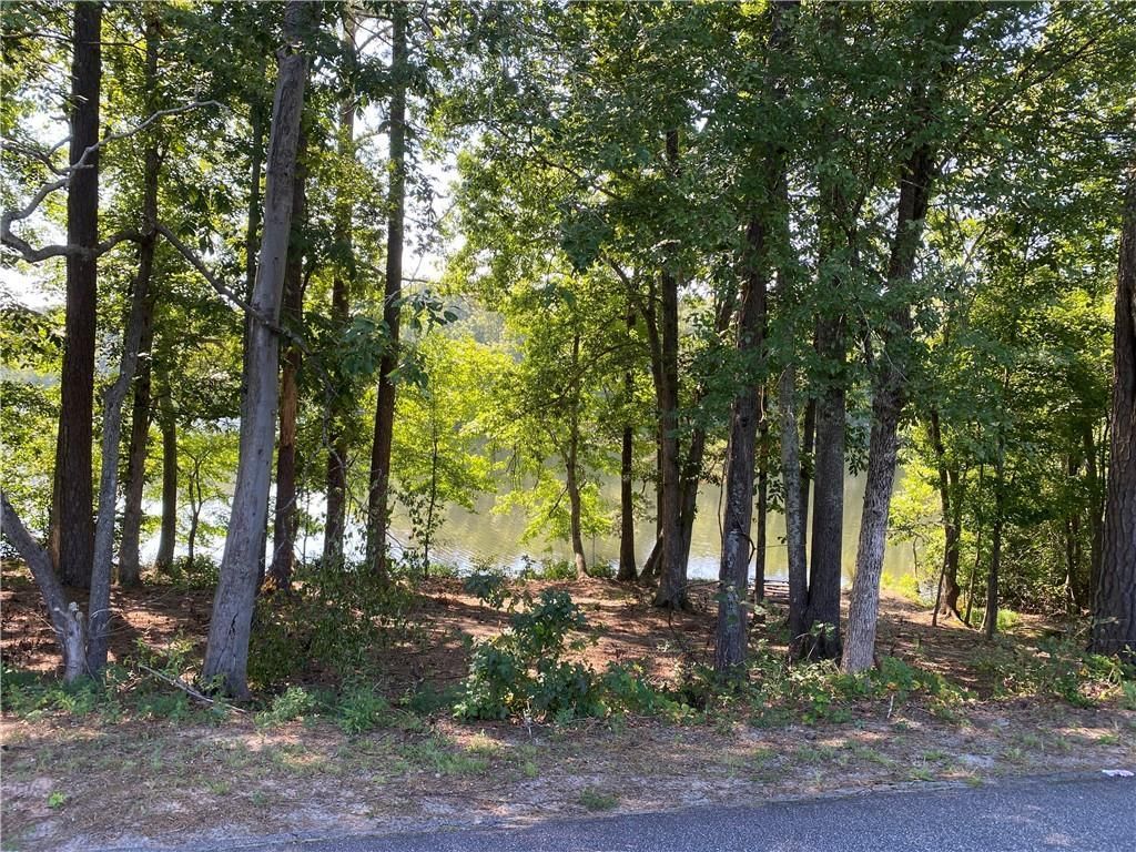 MLS #7274168 image #6