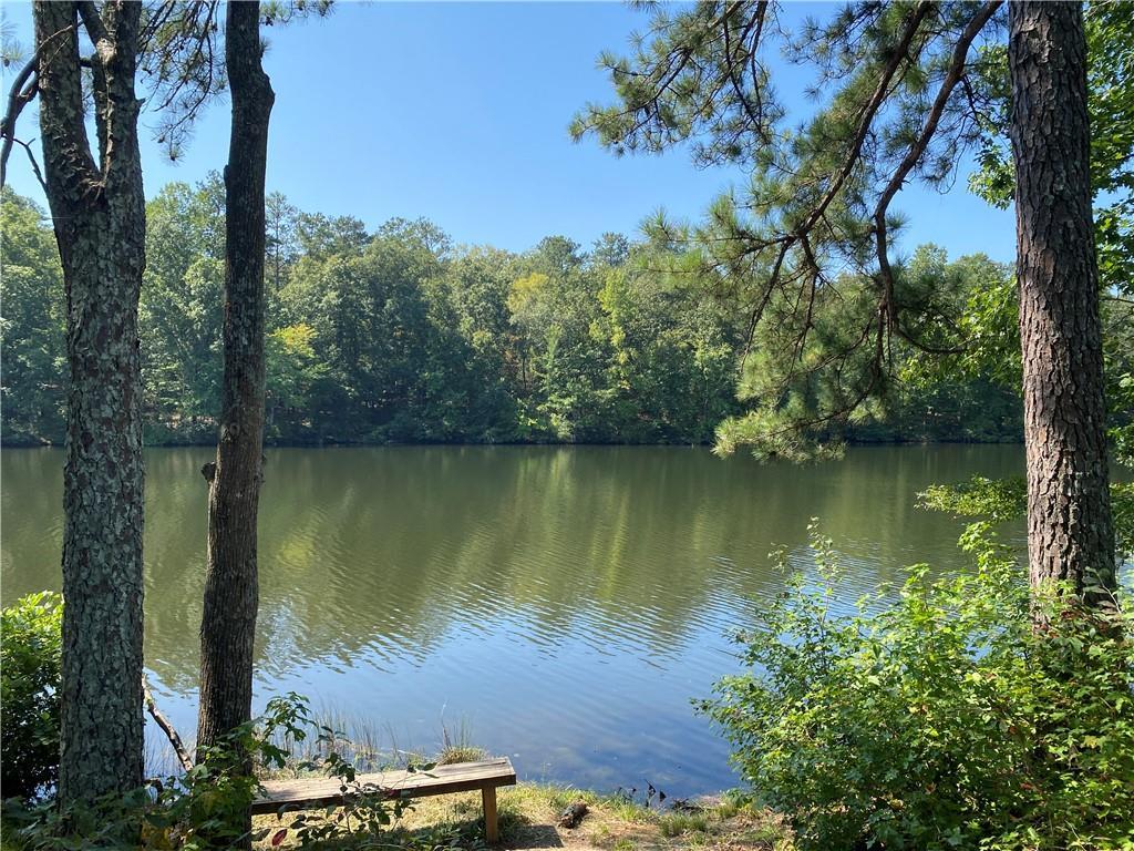 MLS #7274168 image #8