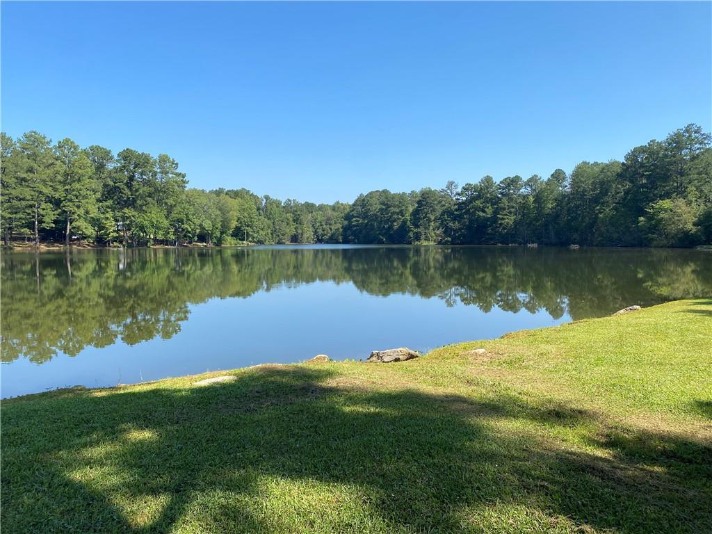 MLS #7274168 image #9