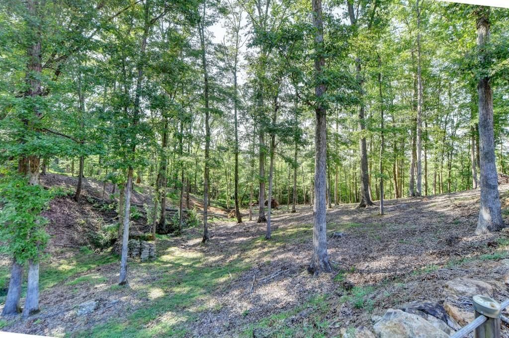 MLS #7276162 image #58