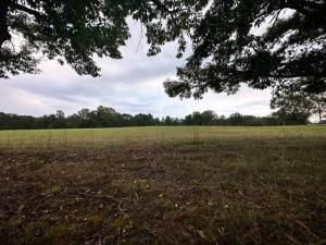 MLS #7285986 image #2