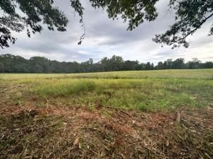 MLS #7285993 image #0