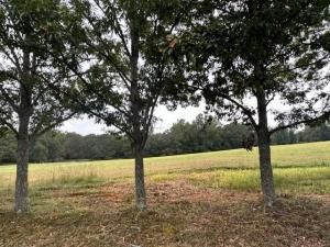 MLS #7285993 image #1