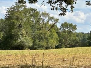 MLS #7285993 image #2