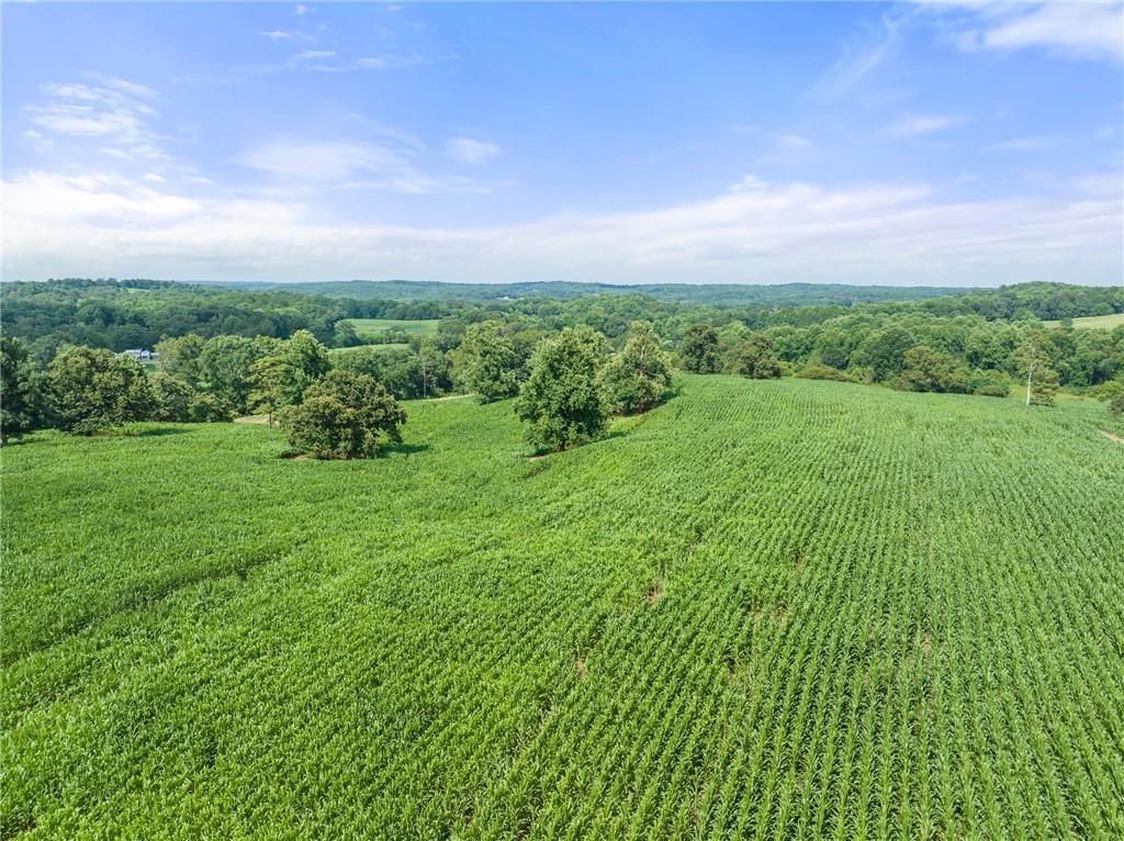 MLS #7286657 image #3