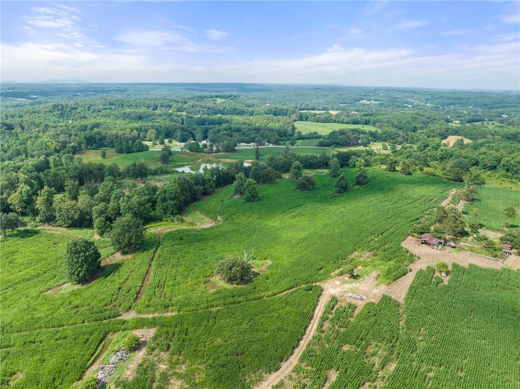 MLS #7286657 image #5